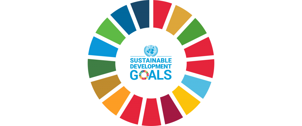 The SDGs Explained for Business – Global Compact Network Mauritius and ...